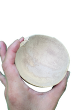 Load image into Gallery viewer, Jícara - Traditional Natural Gourd Bowls