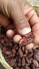 Load image into Gallery viewer, Organic Authentic Mayan Ceremonial Cacao From Guatemala - Crafted by Native Guardians of Ancient Knowledge
